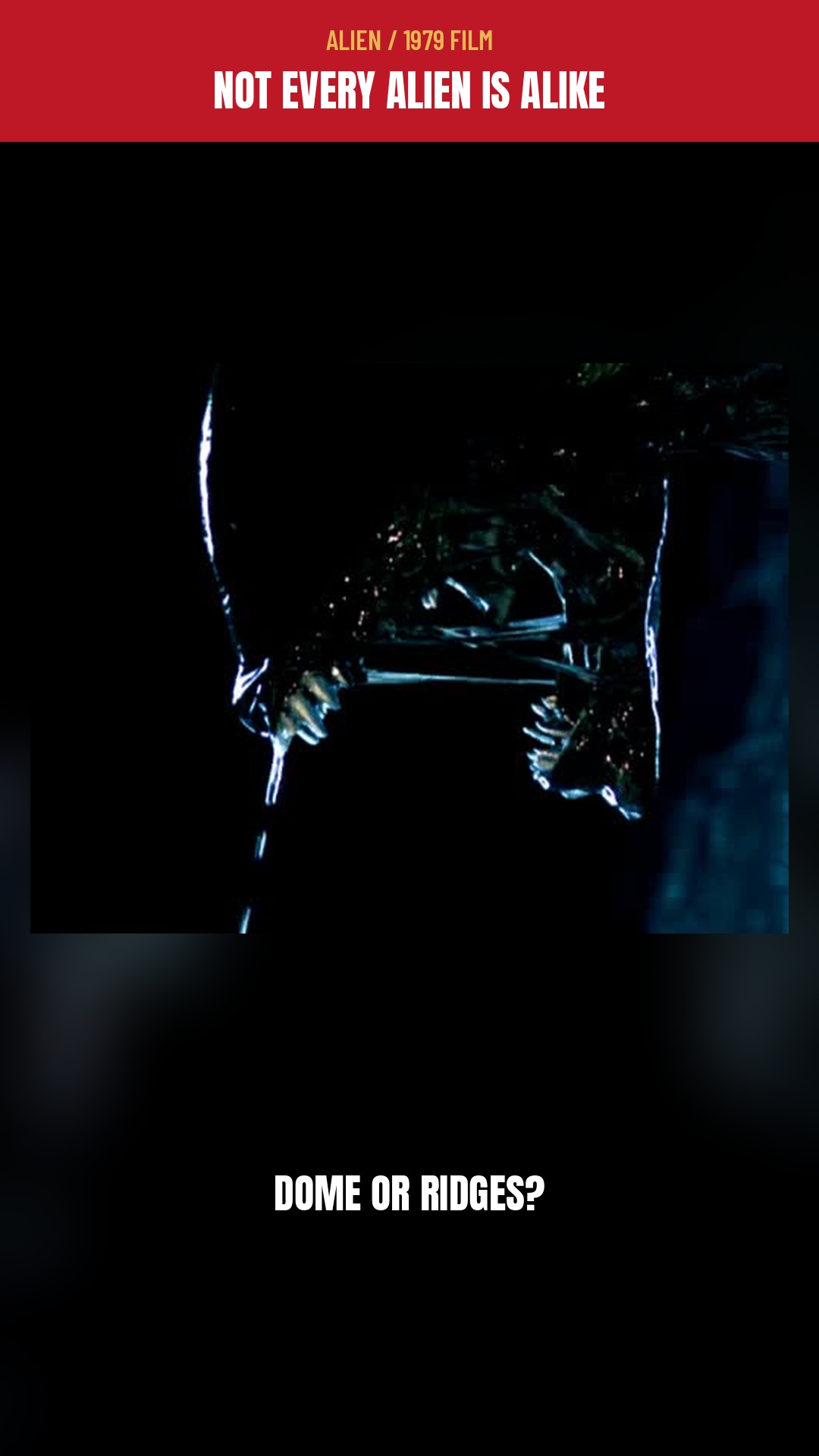 Cover of our ALIEN / NECA Short